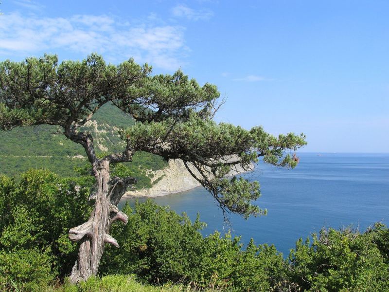Утриш и Абрау: море, фото 2